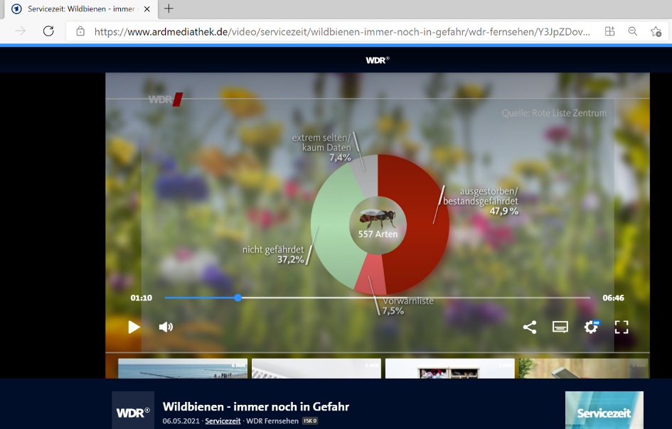 Wildbienen Wildbienen