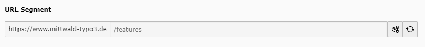 Mittwald Softwaremanager TYPO3 TYPO3 URL Segment