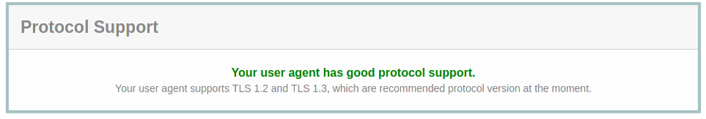 Client Online SSL/TLS Test