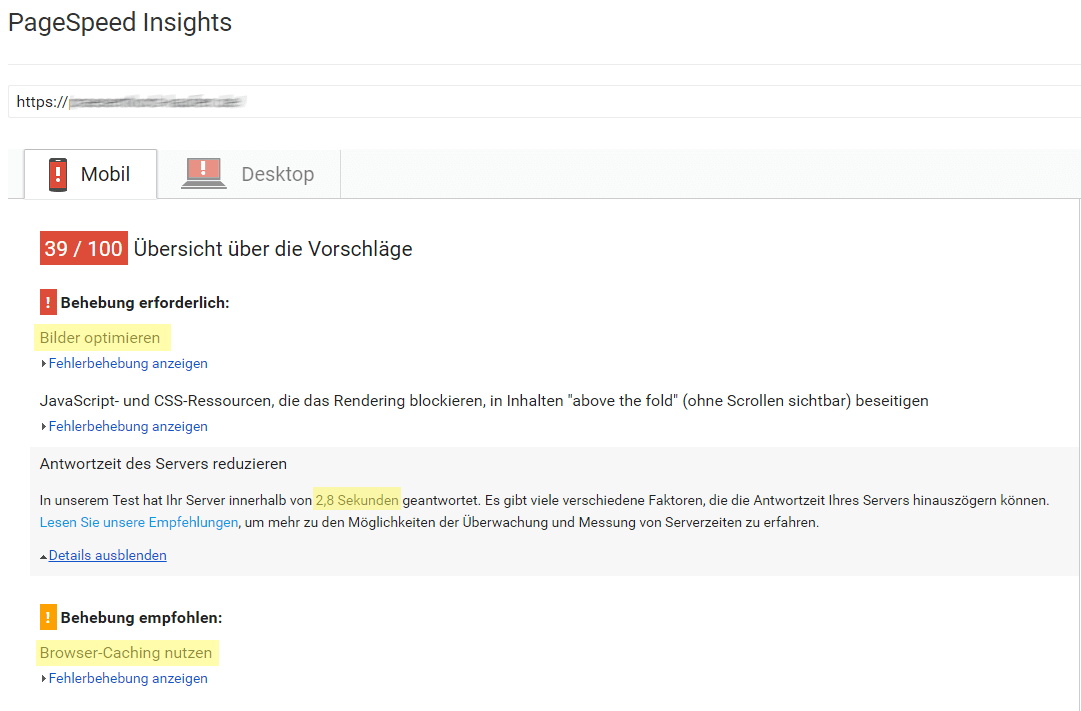 Pagespeed SEO Google Tool Pagespeed Insight
