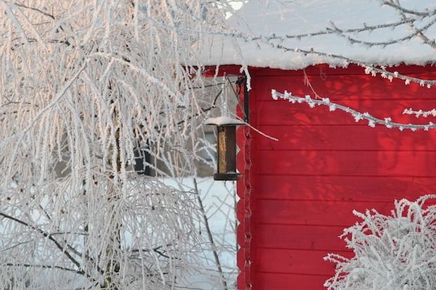 Winter Garten winter garten