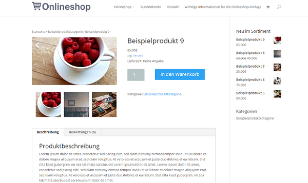 WooCommerce Onlineshop Vorlage SEO Basics für Online-Shops