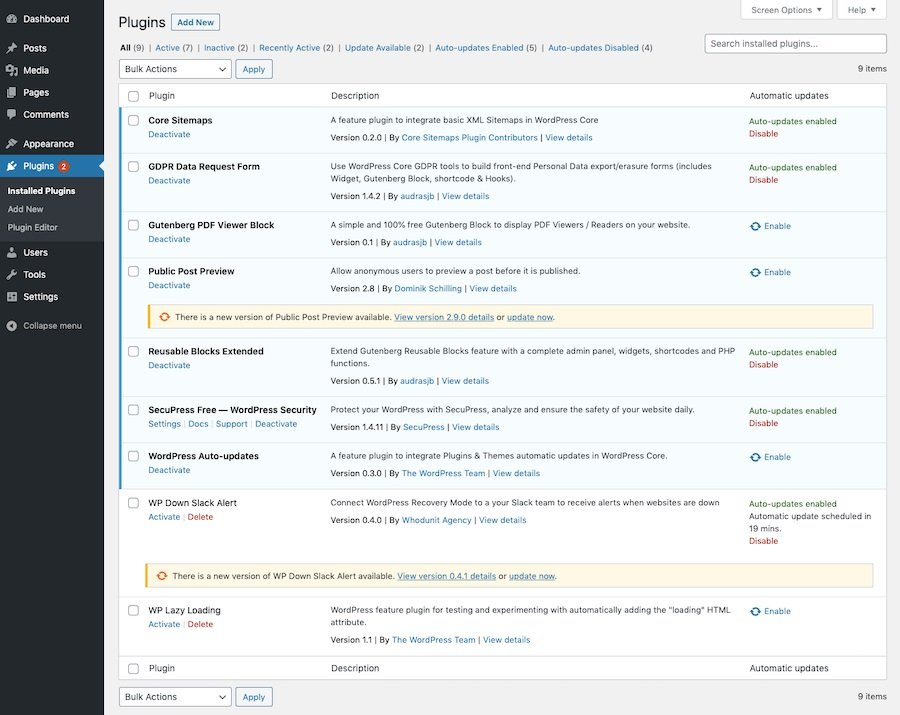 Feature-Preview WordPress 5.5: Auto-Updates aktivieren.