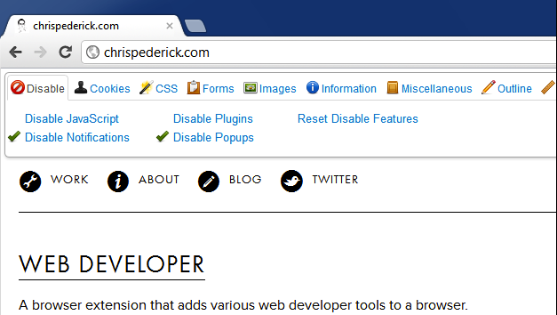 Web Developer ist ein Urgestein und Must-Have für Entwickler